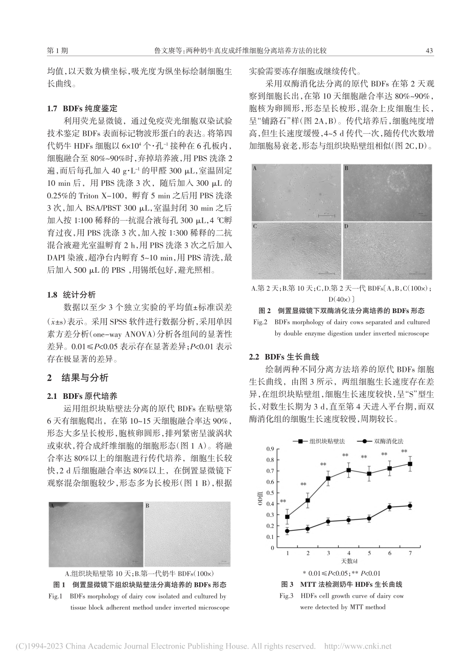 两种奶牛真皮成纤维细胞分离培养方法的比较_鲁文赓.pdf_第3页