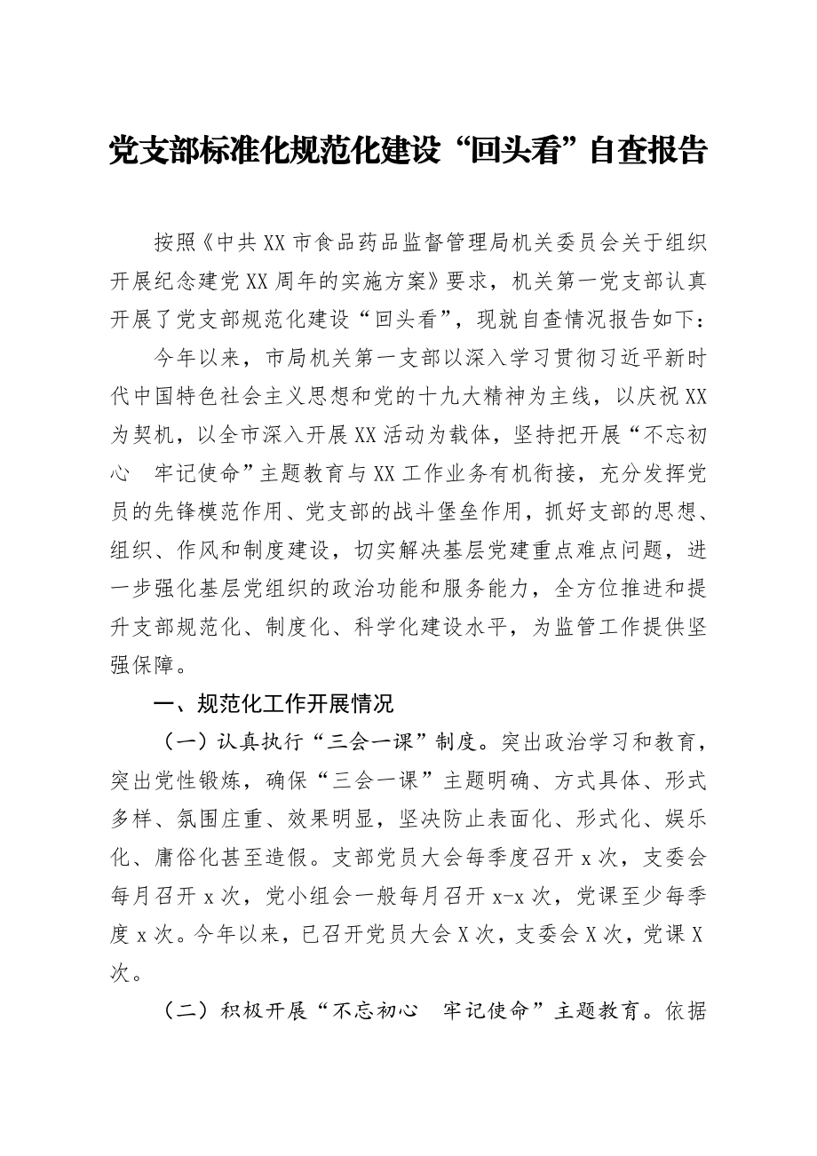 20200725笔友分享党支部标准化规范化建设回头看自查报告.docx_第1页