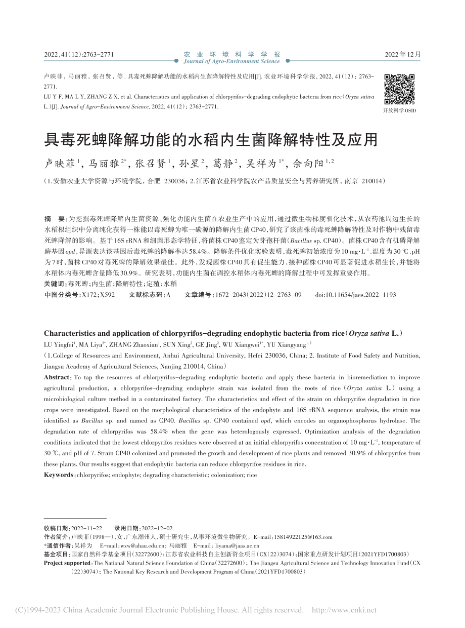 具毒死蜱降解功能的水稻内生菌降解特性及应用_卢映菲.pdf_第1页