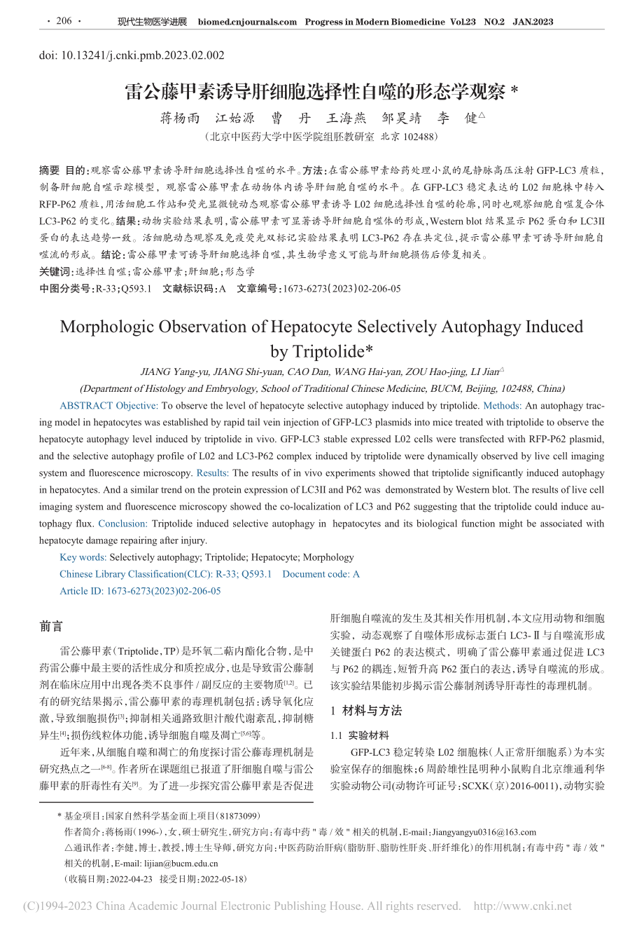 雷公藤甲素诱导肝细胞选择性自噬的形态学观察_蒋杨雨.pdf_第1页