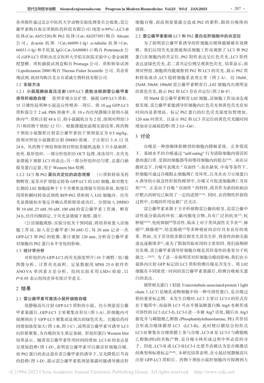 雷公藤甲素诱导肝细胞选择性自噬的形态学观察_蒋杨雨.pdf_第2页