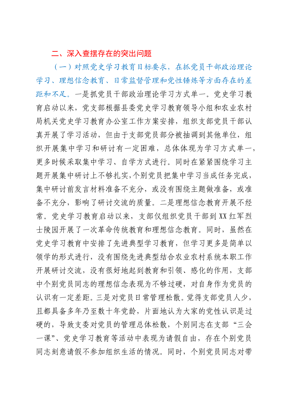 农业农村系统党支部党史学习教育专题组织生活会班子对照检查材料.docx_第3页