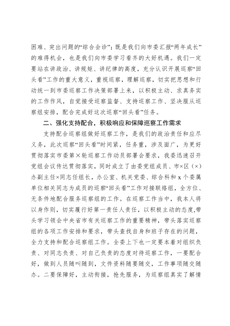 20200916在巡察回头看工作动员会上的表态发言.doc_第2页