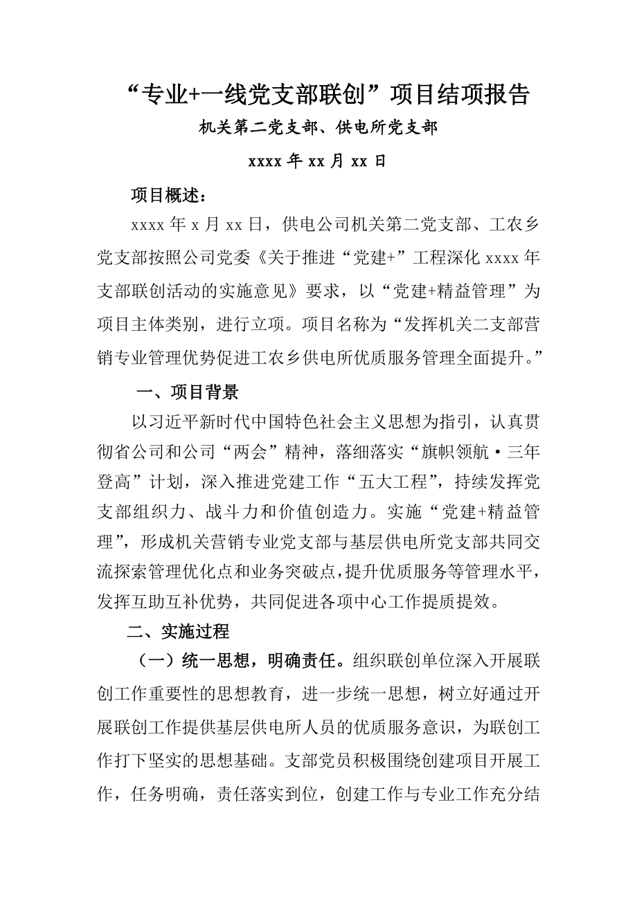 专业+一线支部联创项目结项报告.docx_第1页