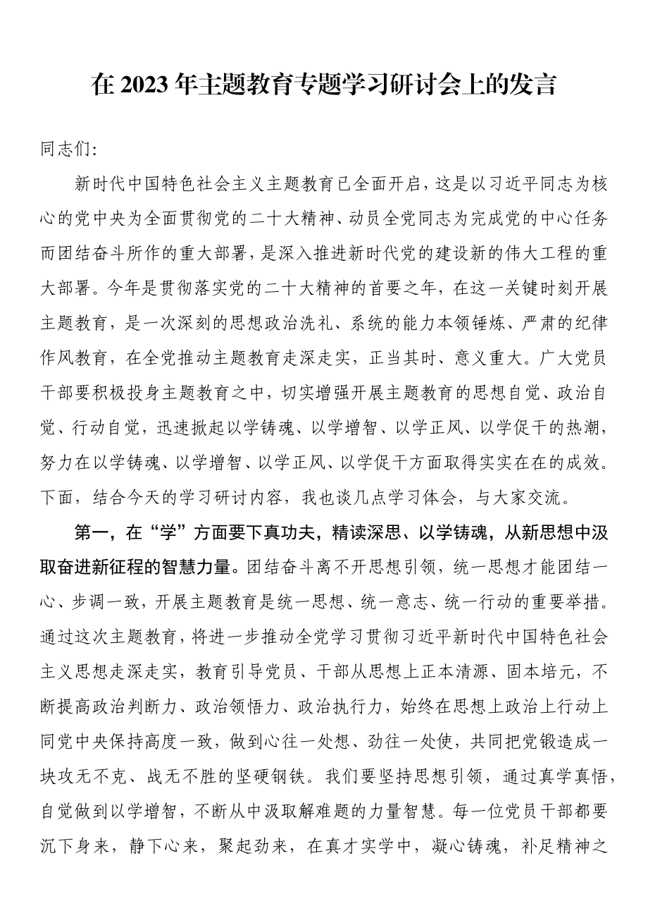 在2023年主题教育专题学习研讨会上的发言 .docx_第1页