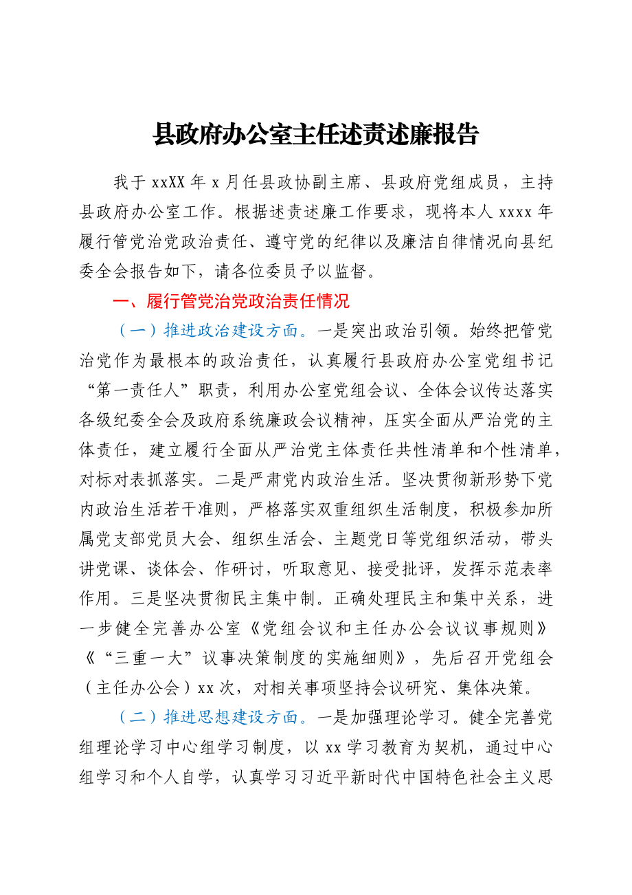 县政府办公室主任述责述廉报告.docx_第1页