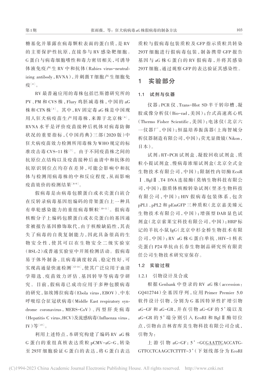 狂犬病病毒aG株假病毒的制备方法_张雨薇.pdf_第2页