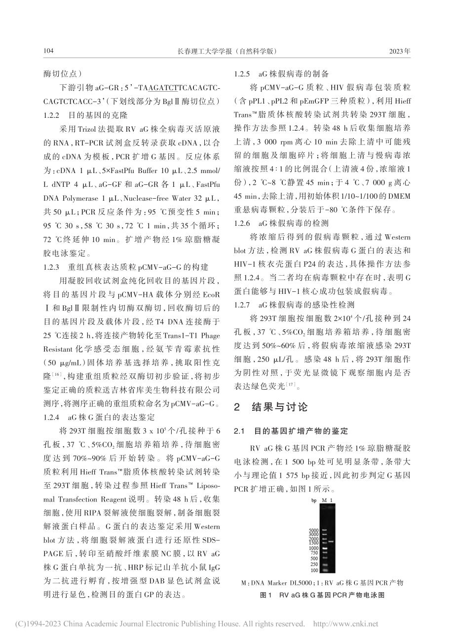 狂犬病病毒aG株假病毒的制备方法_张雨薇.pdf_第3页