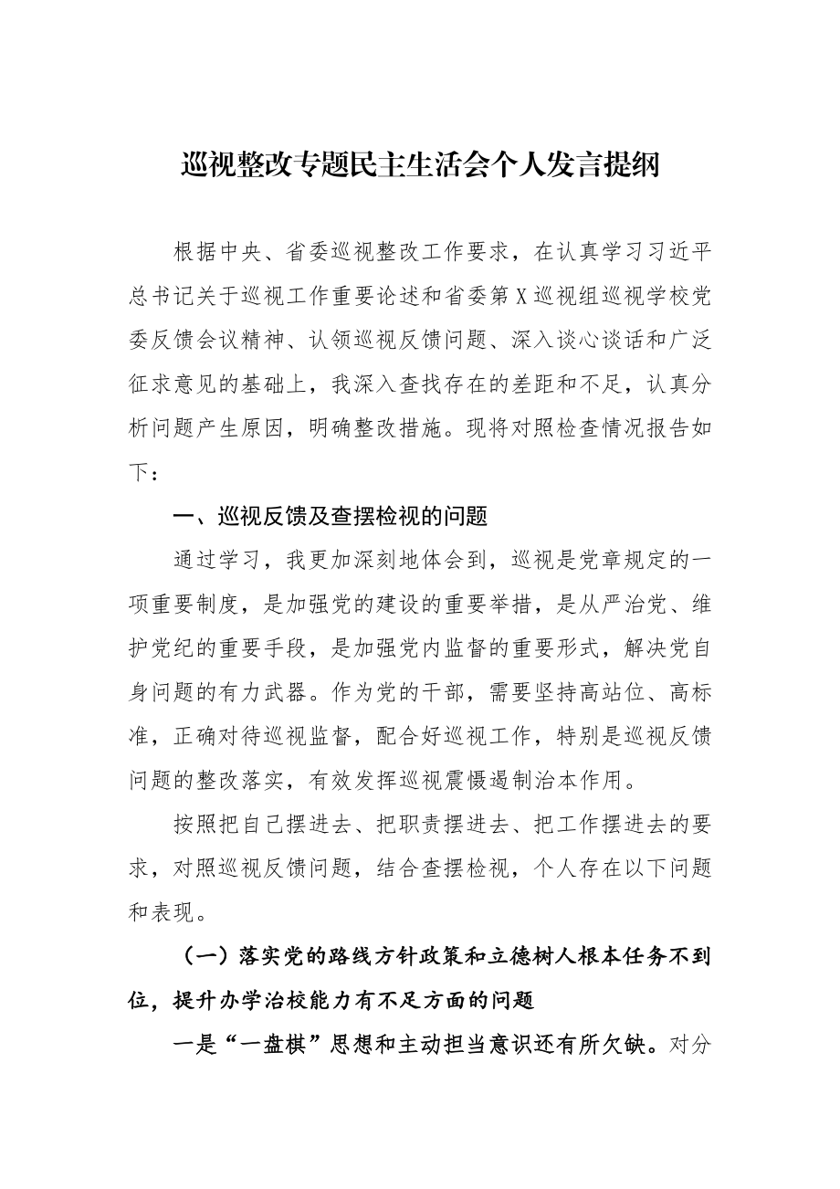 巡视整改专题民主生活会个人发言提纲.docx_第1页