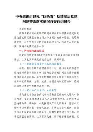 中央巡视组巡视“回头看”反馈基层党建问题整改落实情况自查自纠报告仅供参考.docx