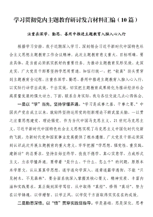 学习贯彻党内主题教育研讨发言材料汇编（10篇）.docx