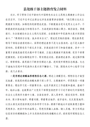 县处级干部主题教育发言材料.docx