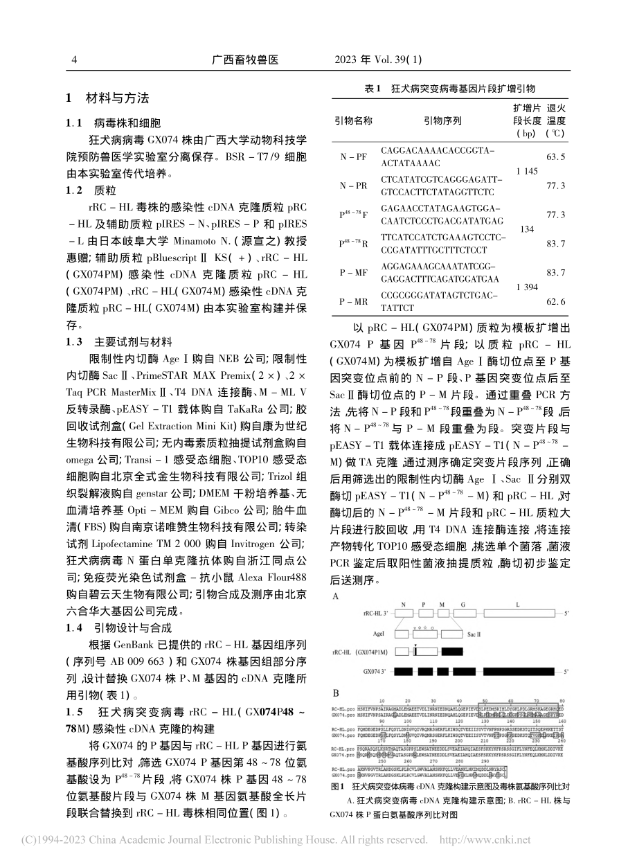 狂犬病病毒GX074株P蛋...蛋白突变株的构建及特性研究_周桂全.pdf_第2页