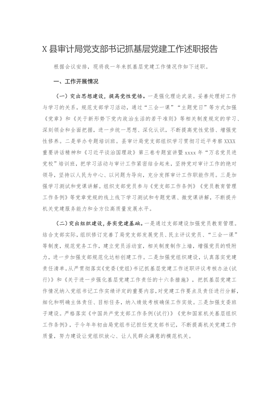 20201122X县审计局党支部书记抓基层党建工作述职报告.docx_第1页