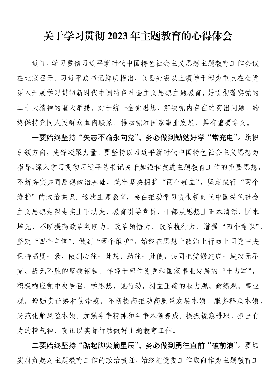 关于学习贯彻2023年主题教育的心得体会 .docx_第1页