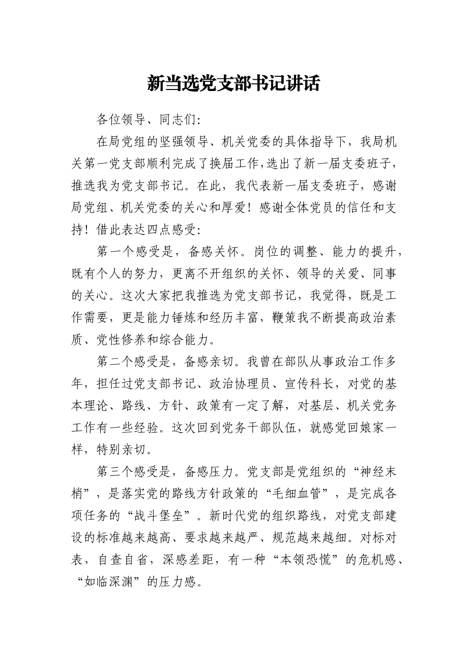 新当选党支部书记讲话.docx_第1页