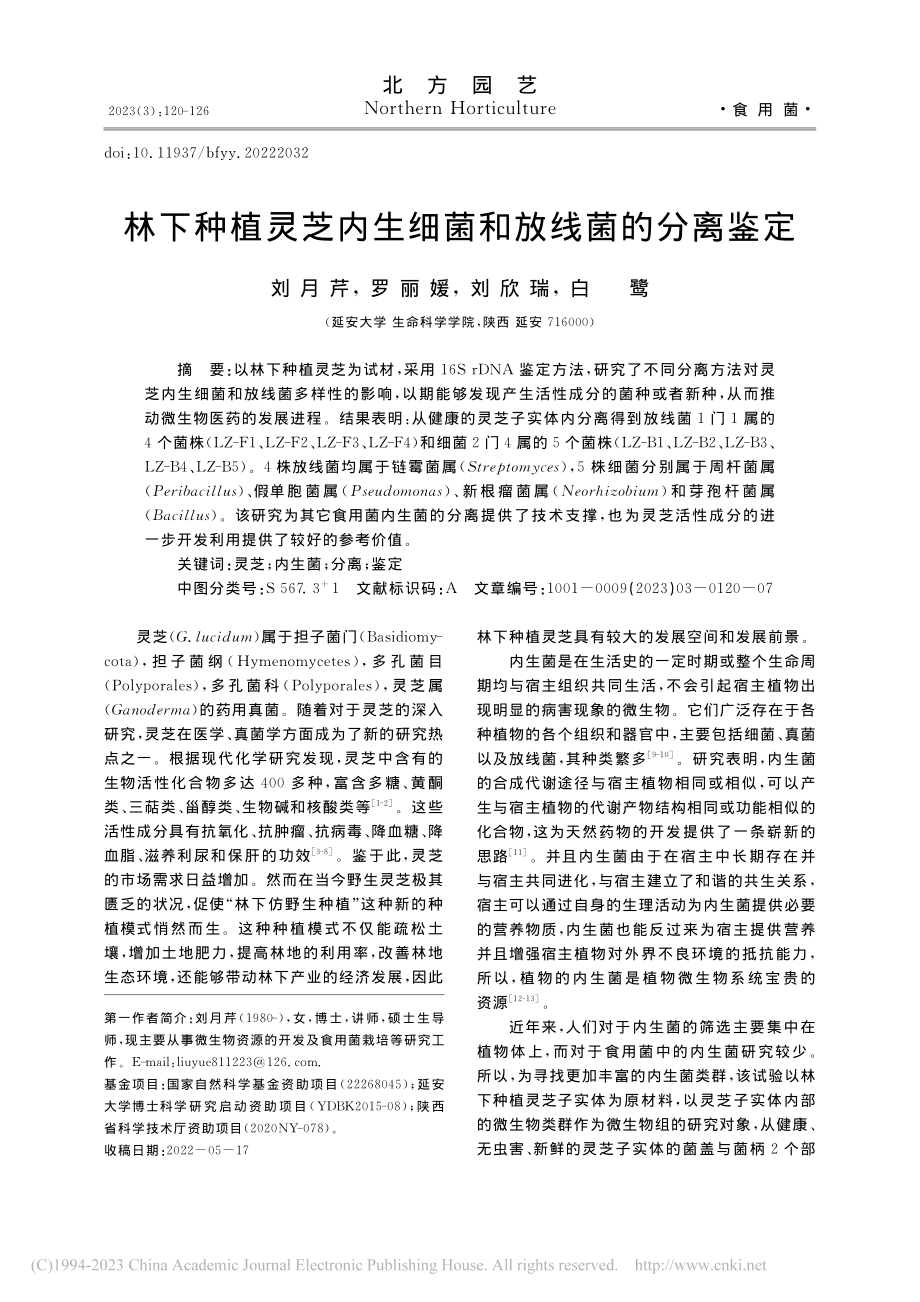 林下种植灵芝内生细菌和放线菌的分离鉴定_刘月芹.pdf_第1页