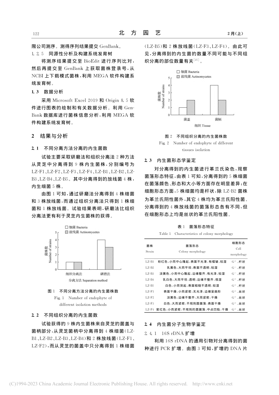 林下种植灵芝内生细菌和放线菌的分离鉴定_刘月芹.pdf_第3页