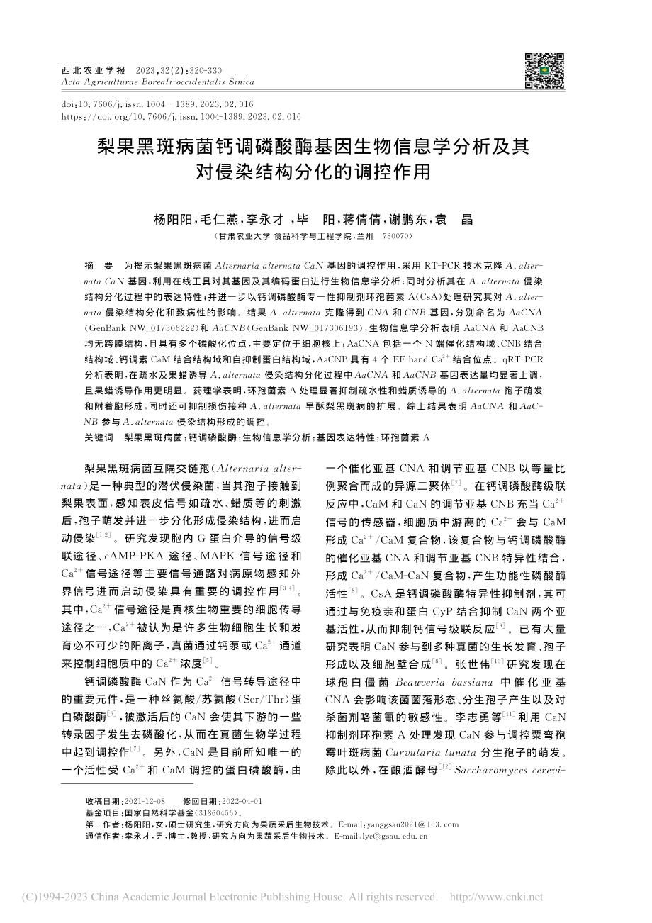 梨果黑斑病菌钙调磷酸酶基因...其对侵染结构分化的调控作用_杨阳阳.pdf_第1页