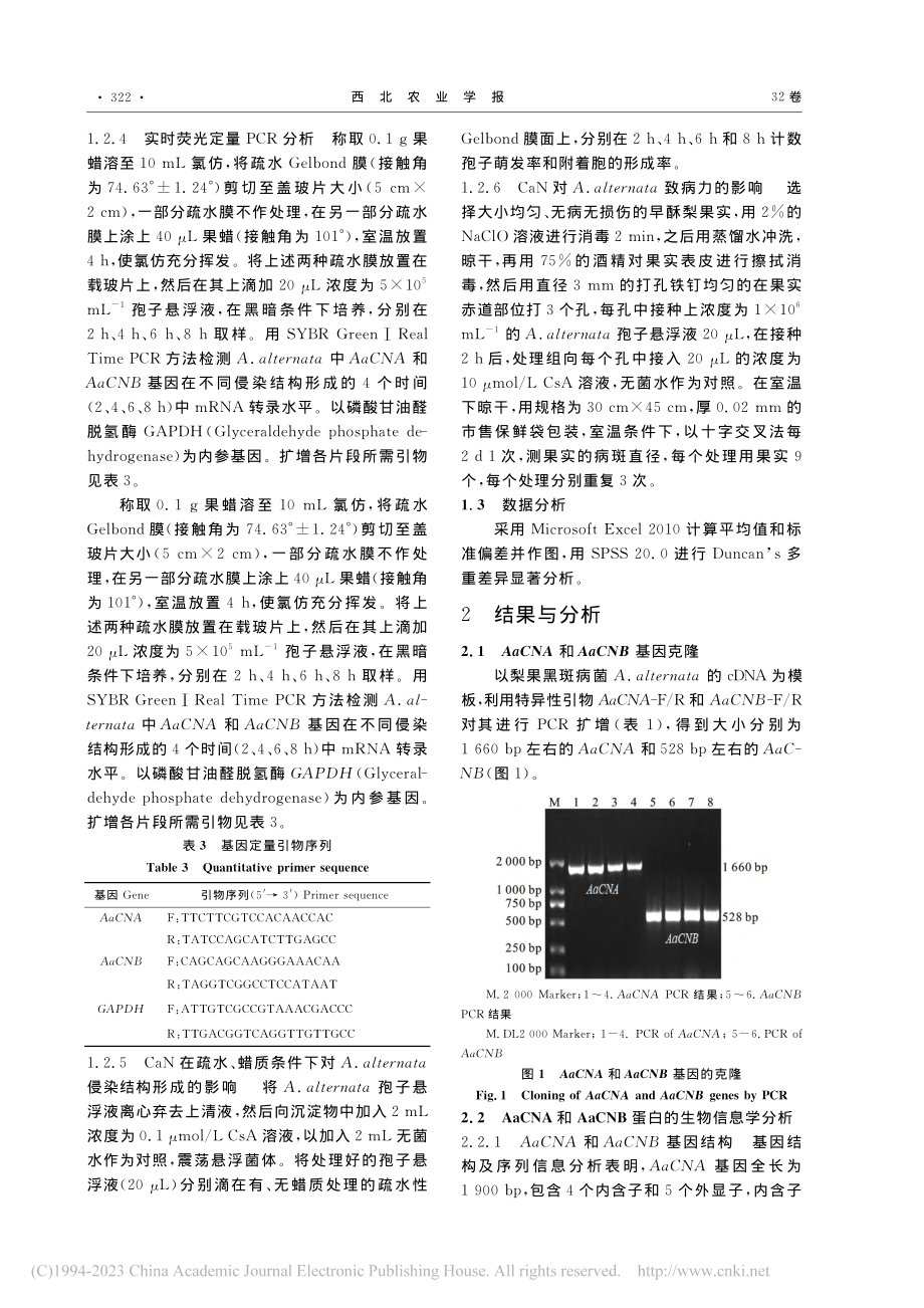 梨果黑斑病菌钙调磷酸酶基因...其对侵染结构分化的调控作用_杨阳阳.pdf_第3页