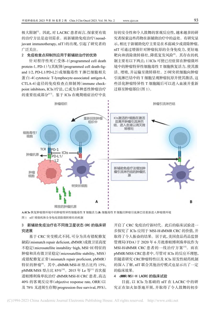 局部进展期结直肠癌新辅助免疫治疗临床研究及应用进展_陈顺.pdf_第2页