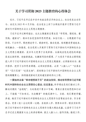 关于学习贯彻2023主题教育的心得体会.docx