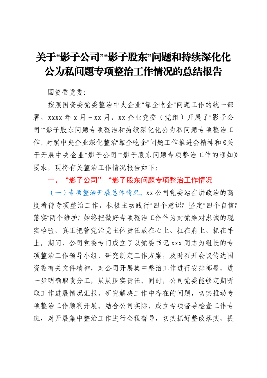 关于“影子公司”“影子股东”问题和持续深化化公为私问题专项整治工作情况的总结报告.docx_第1页