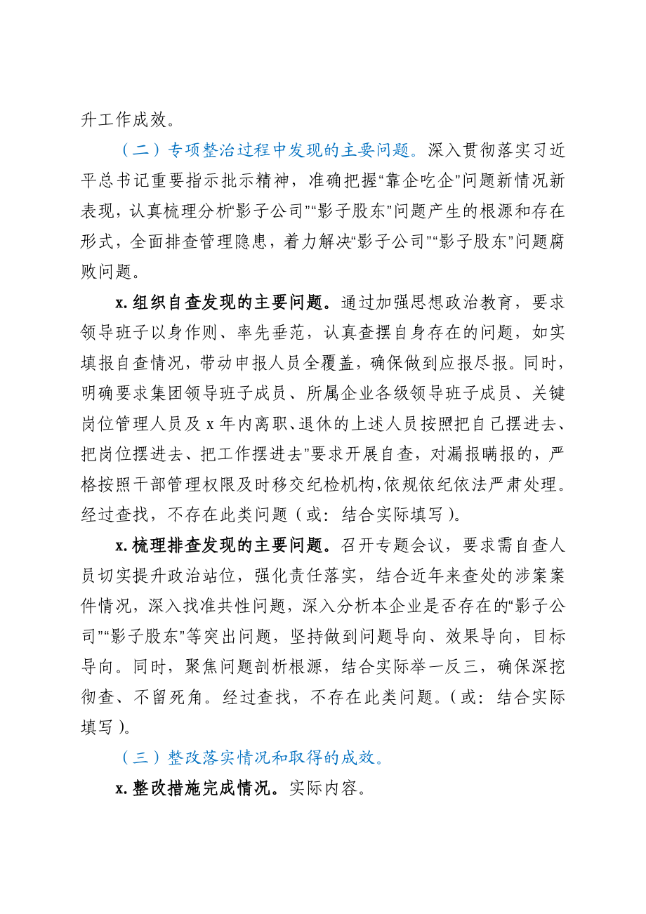 关于“影子公司”“影子股东”问题和持续深化化公为私问题专项整治工作情况的总结报告.docx_第2页