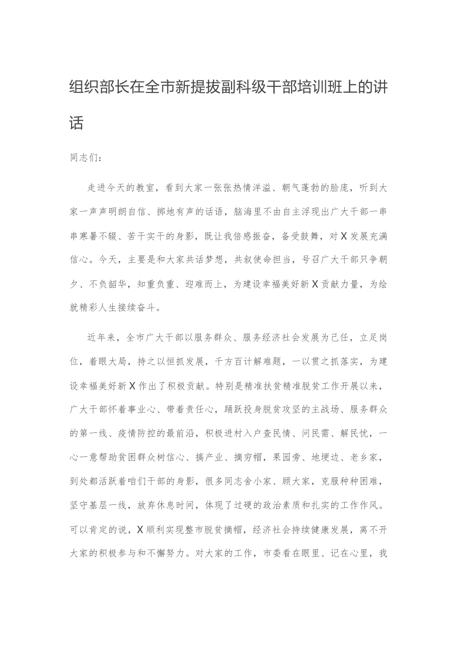 组织部长在全市新提拔副科级干部培训班上的讲话.docx_第1页