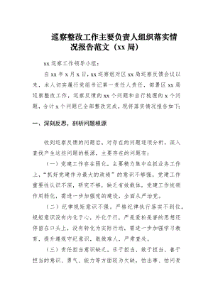 巡察整改工作主要负责人组织落实情况报告范文（xx局）（巡察整改情况报告）.docx