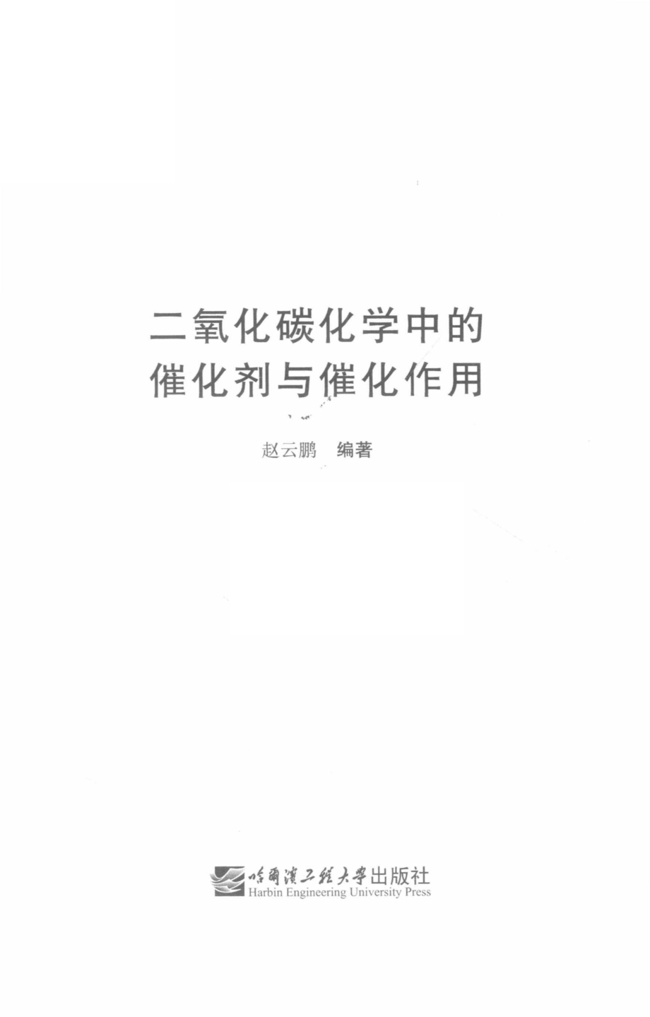 二氧化碳化学中的催化剂与催化作用_赵云鹏编著.pdf_第2页