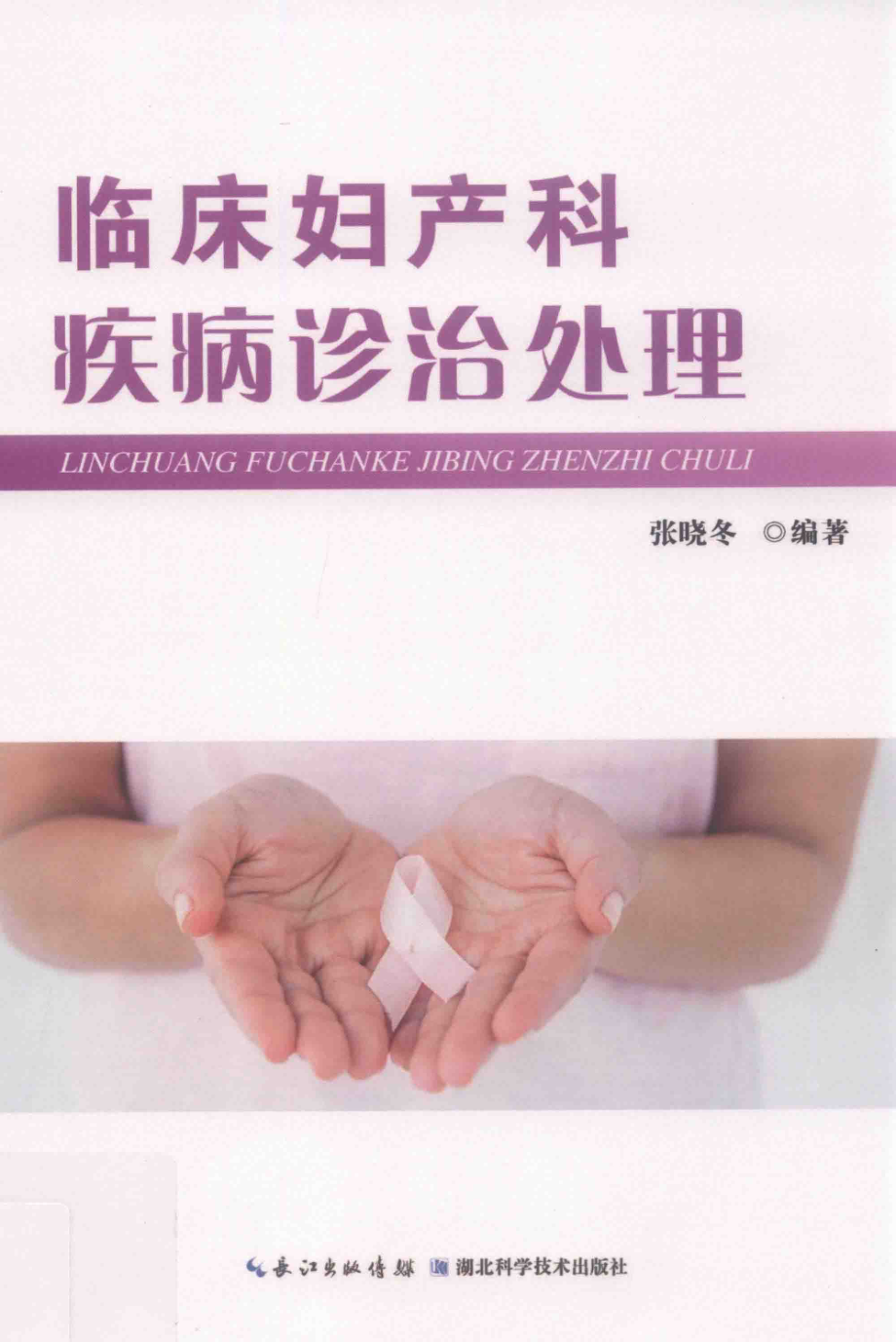 临床妇产科疾病诊治处理_张晓冬编著.pdf_第1页