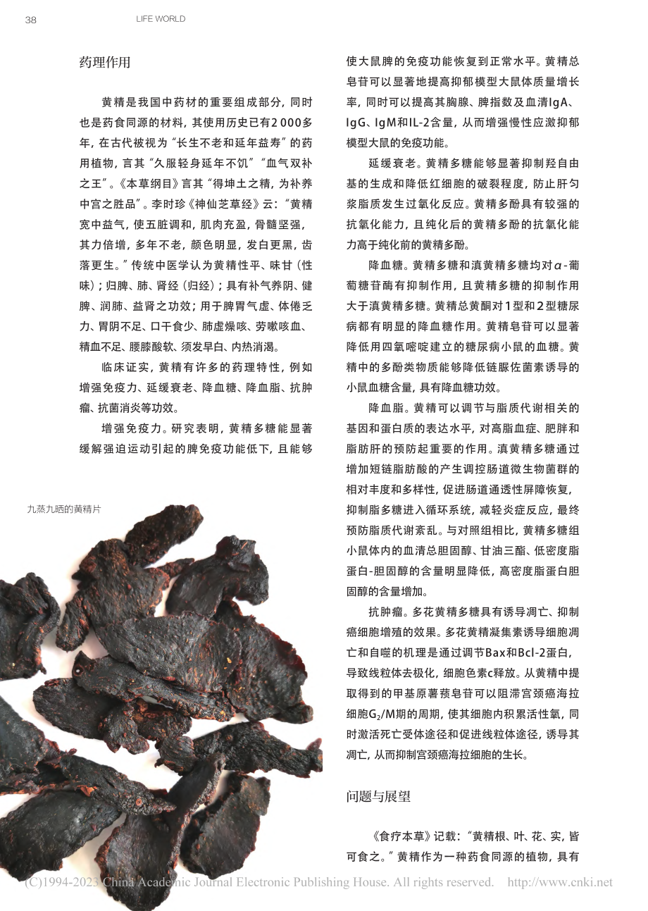 杉树林下话黄精_唐翠芳_.pdf_第3页