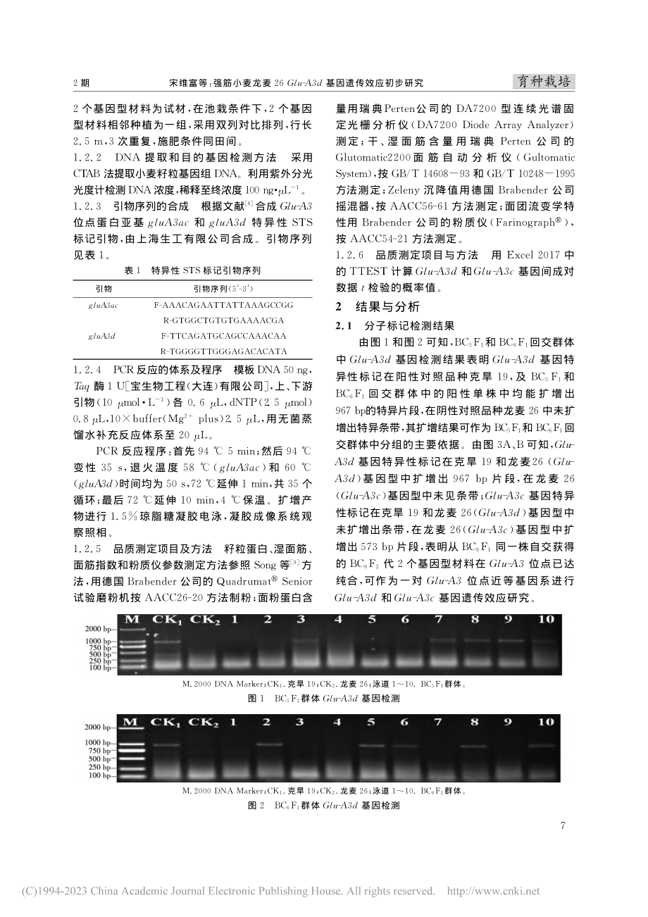 强筋小麦龙麦26Glu-A3d基因遗传效应初步研究_宋维富.pdf_第2页