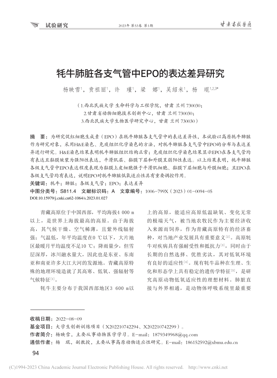 牦牛肺脏各支气管中EPO的表达差异研究_杨映雪.pdf_第1页