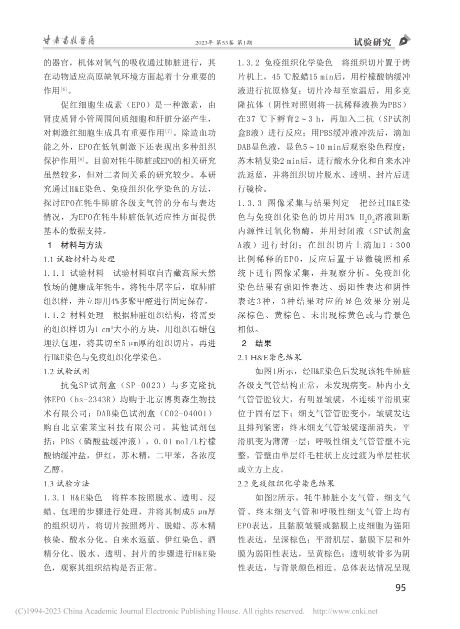 牦牛肺脏各支气管中EPO的表达差异研究_杨映雪.pdf_第2页