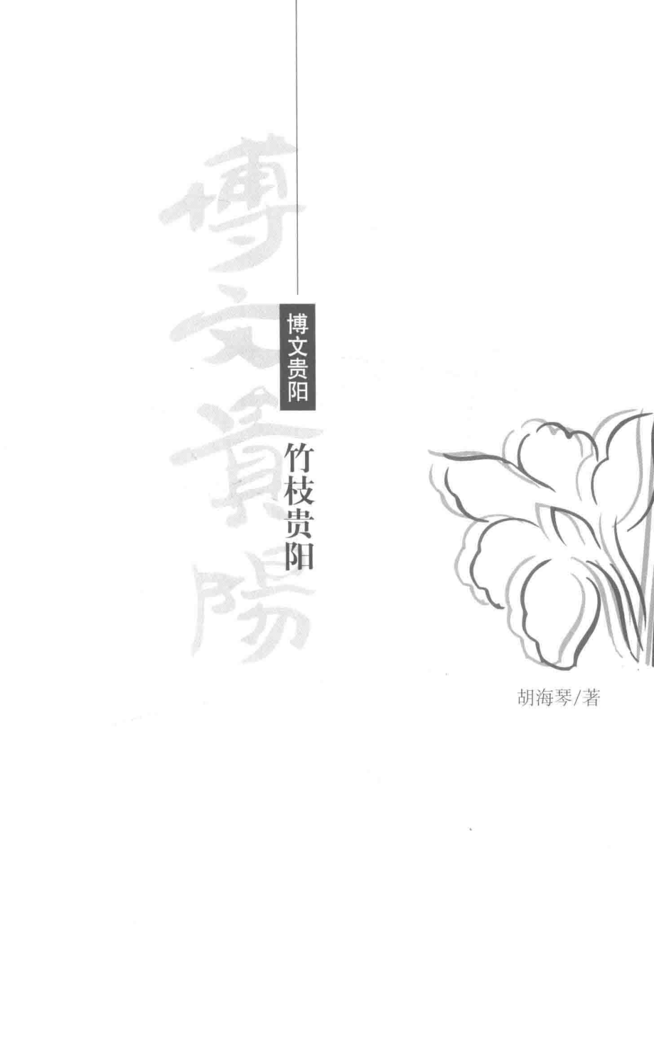 竹枝贵阳_胡海琴著.pdf_第2页