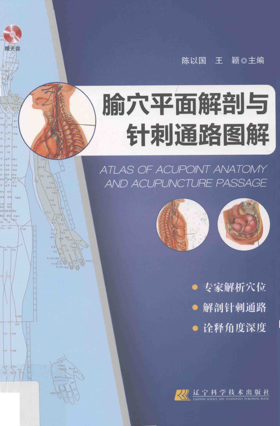 腧穴平面解剖与针刺通路图解_陈以国王颖主编.pdf_第1页