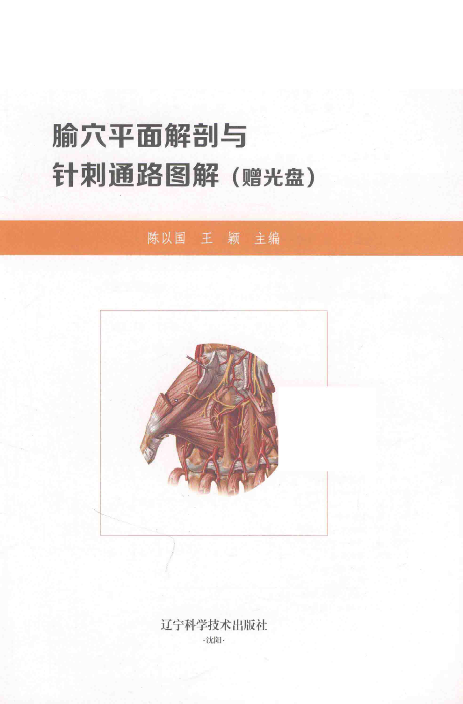 腧穴平面解剖与针刺通路图解_陈以国王颖主编.pdf_第2页