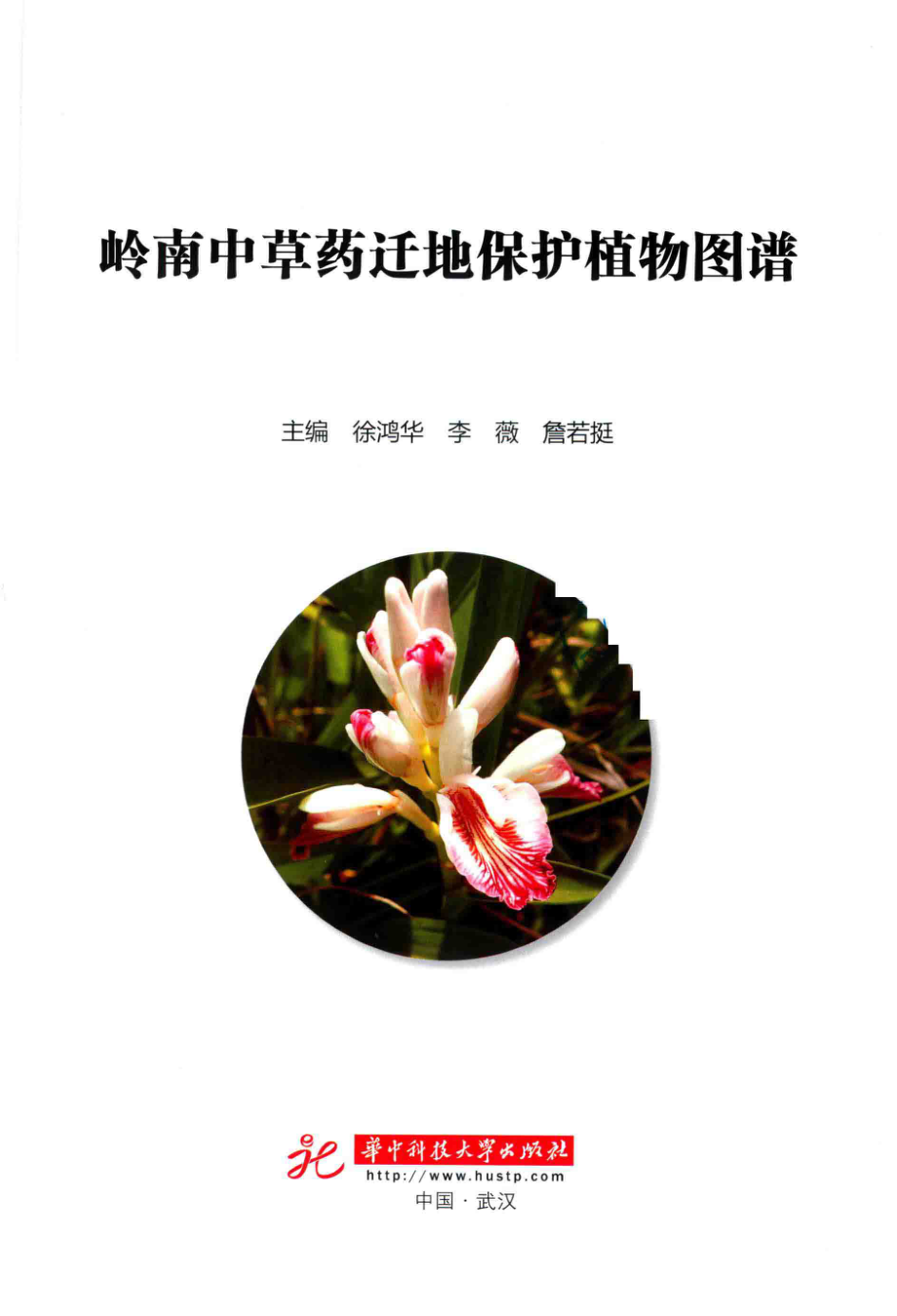 岭南中草药迁地保护植物图谱_徐鸿华李薇詹若挺主编.pdf_第2页