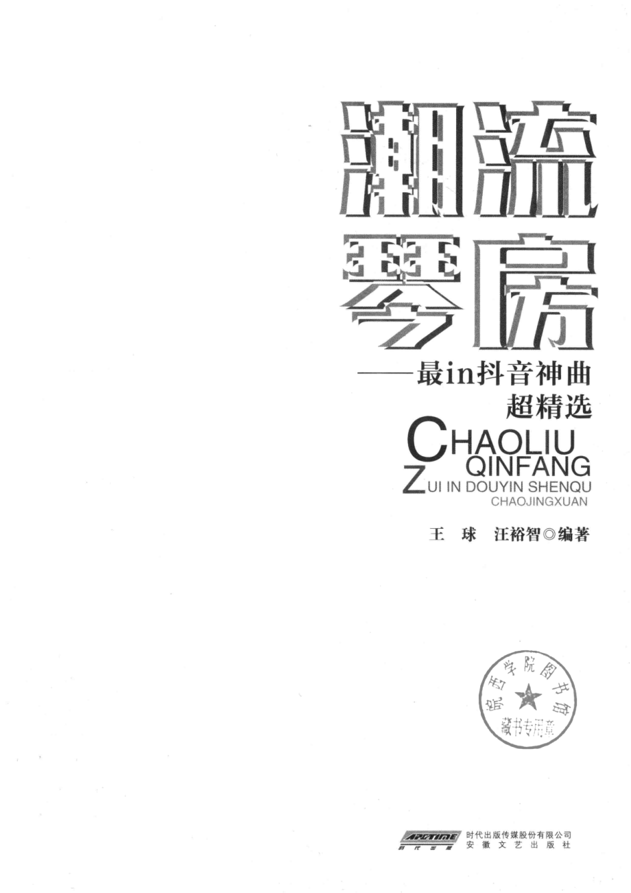 潮流琴房最in抖音神曲超精选_王球汪裕智编著.pdf_第2页