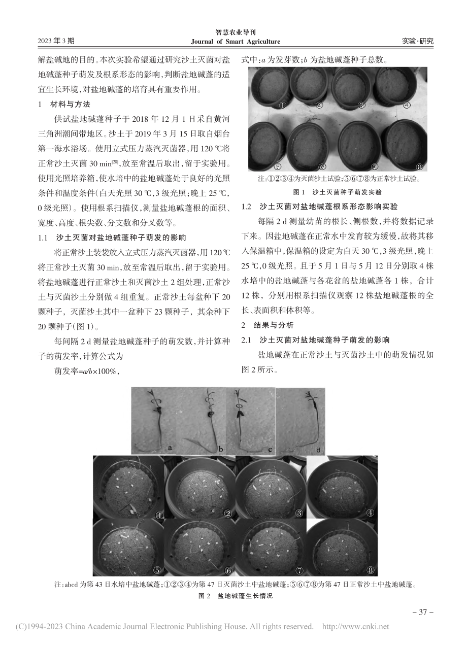 沙土灭菌对盐地碱蓬种子萌发及根系形态的影响_刘艺山.pdf_第2页