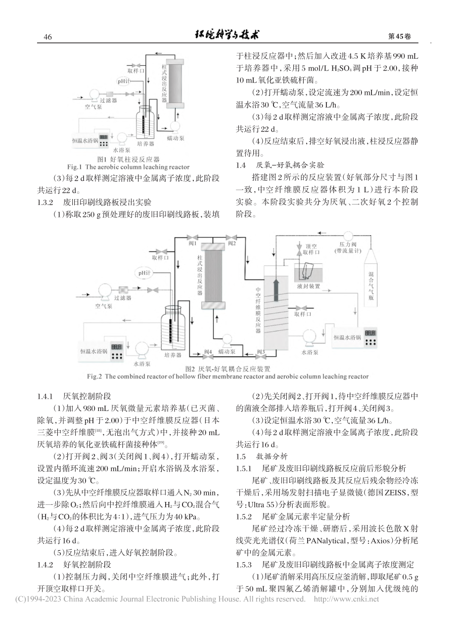 嗜酸菌好氧-厌氧耦合溶解浸出副产物研究_杨远坤.pdf_第3页