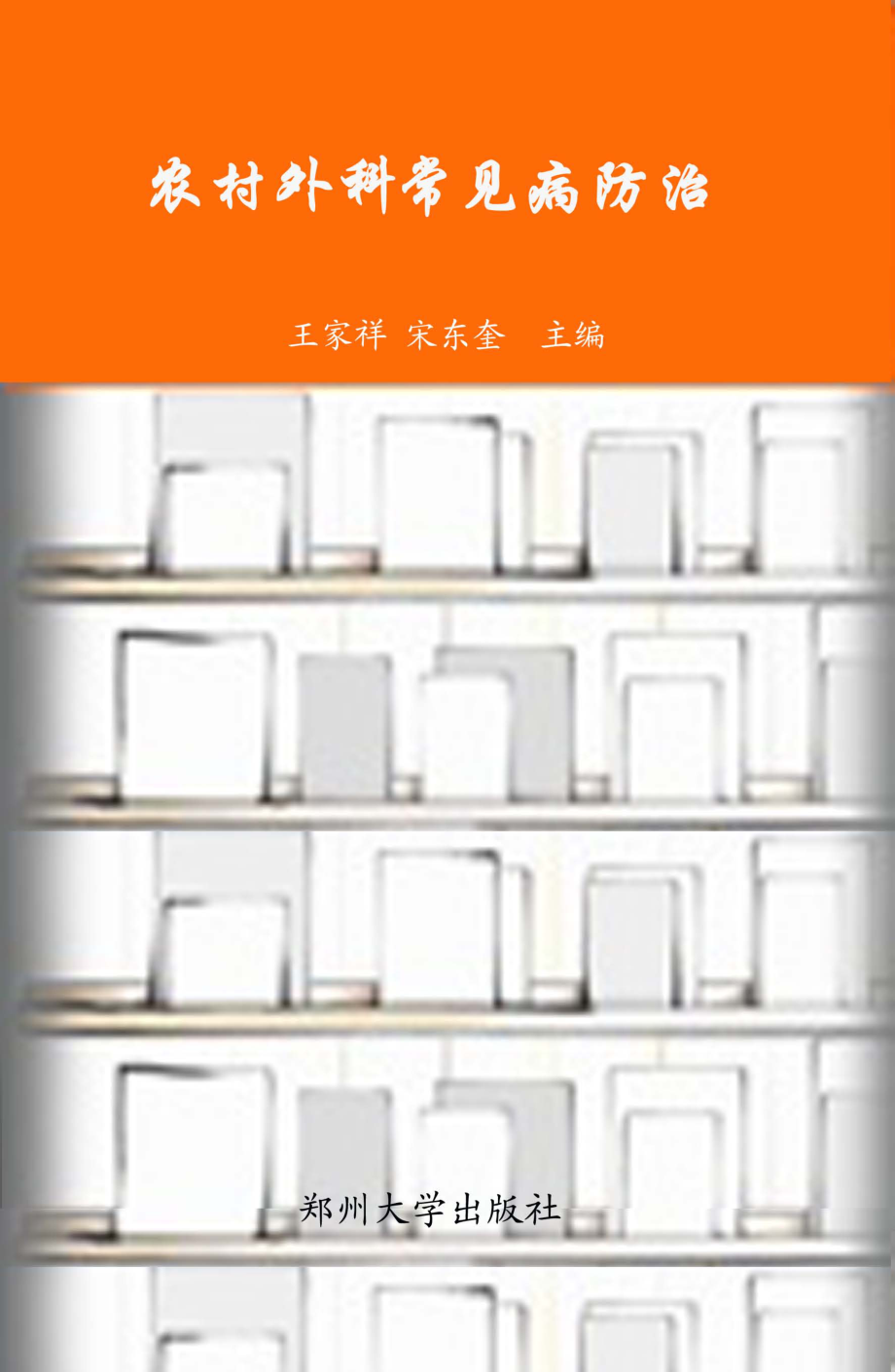 农村外科常见病防治_王家祥宋东奎主编.pdf_第1页