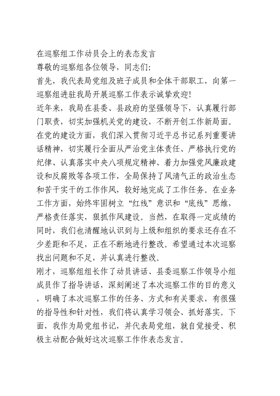 在巡察组工作动员会上的表态发言.doc_第1页