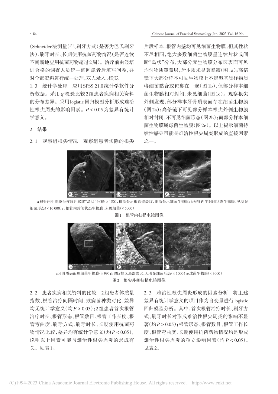 难治性根尖周炎形成的相关因素研究_马依热·阿布都赛麦提.pdf_第3页