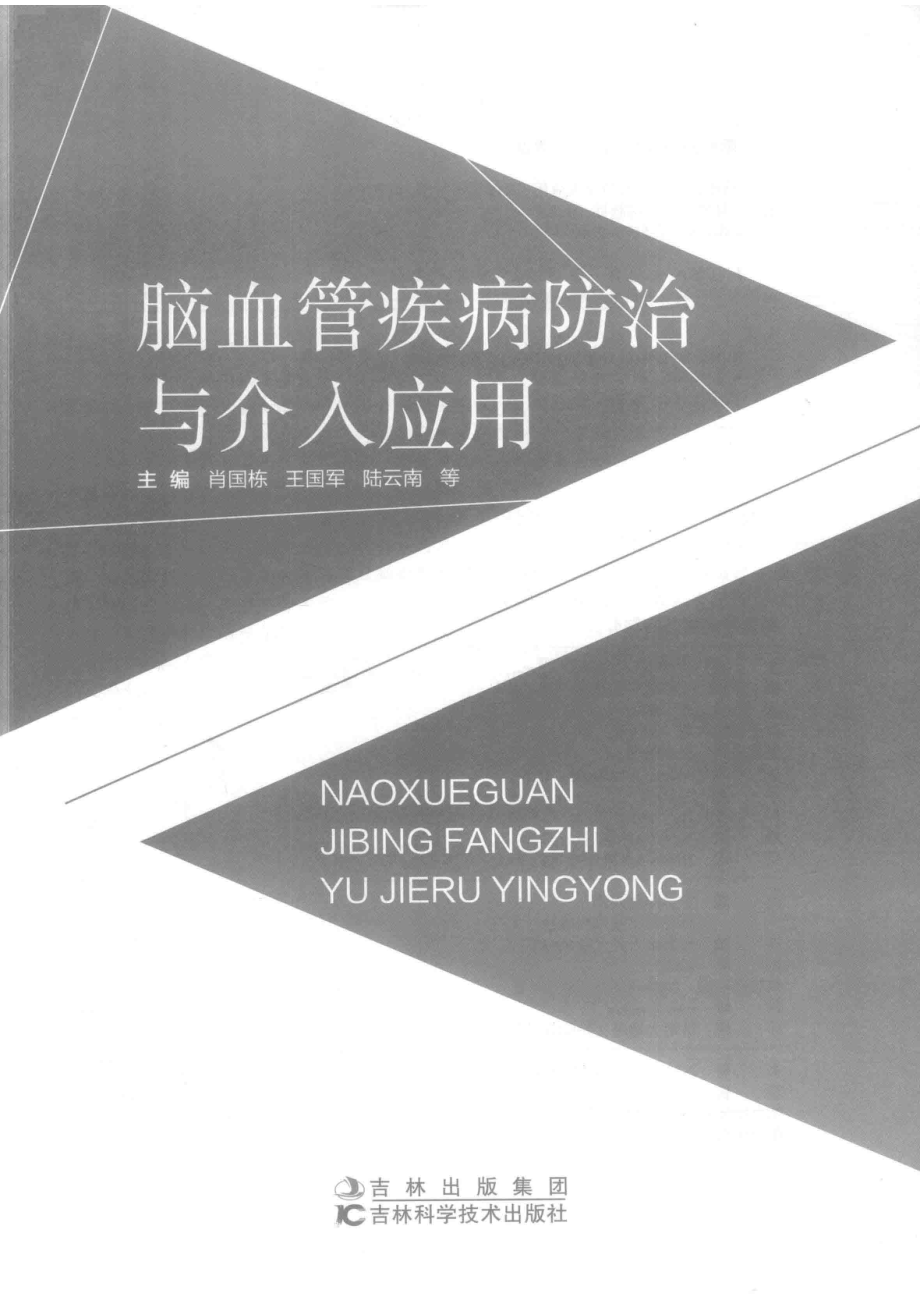 脑血管疾病防治与介入应用_肖国栋王国军陆云南等主编.pdf_第2页