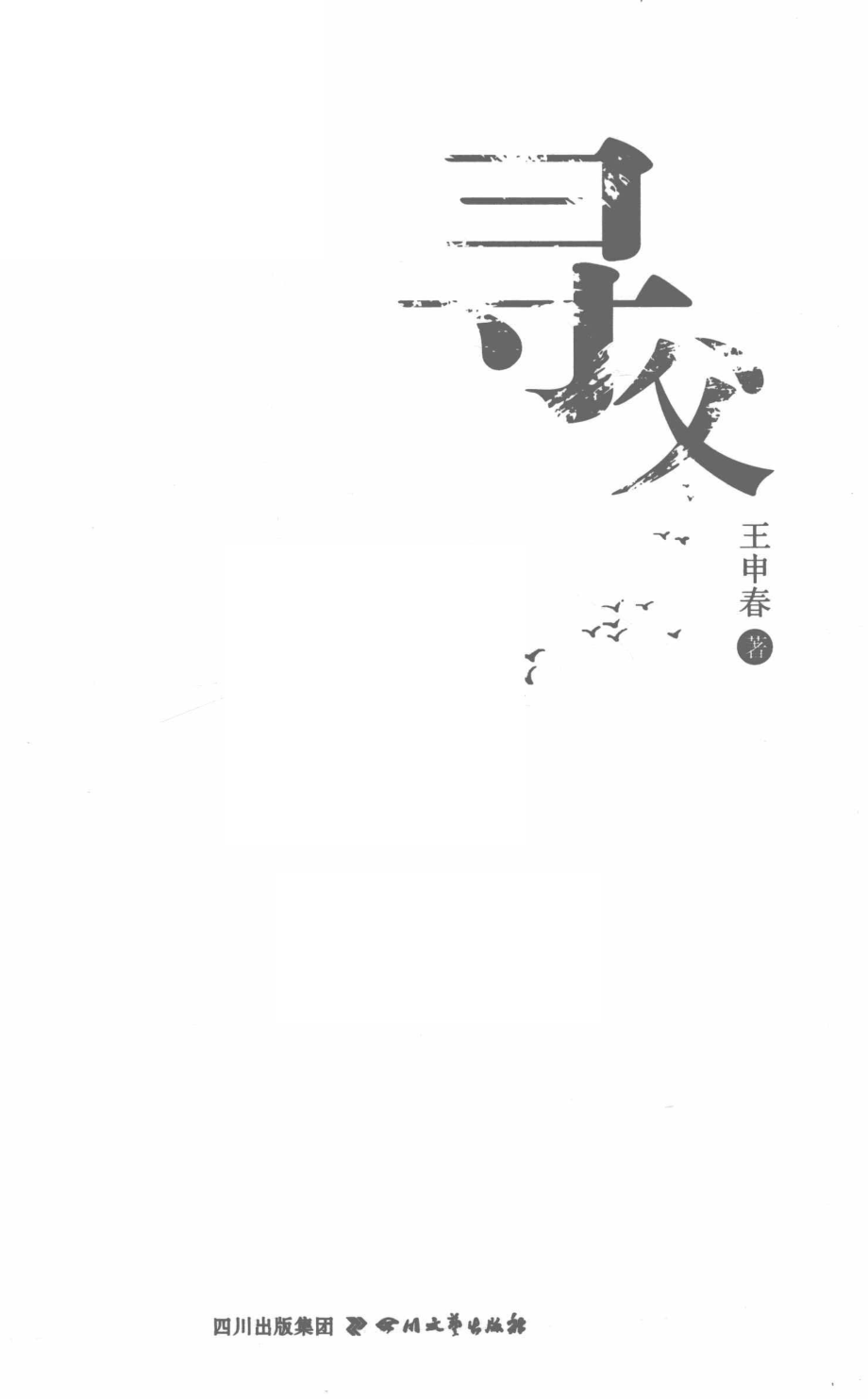 寻父_王申春著.pdf_第2页