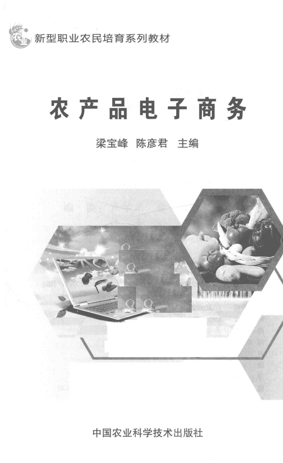 农产品电子商务_梁宝峰陈彦君主编.pdf_第2页