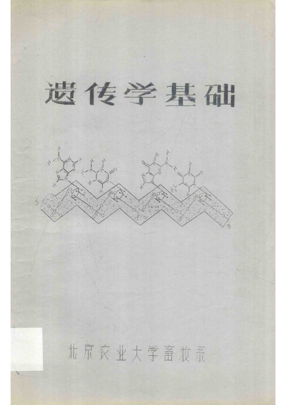 遗传学基础_北京农业大学畜牧系编.pdf_第1页